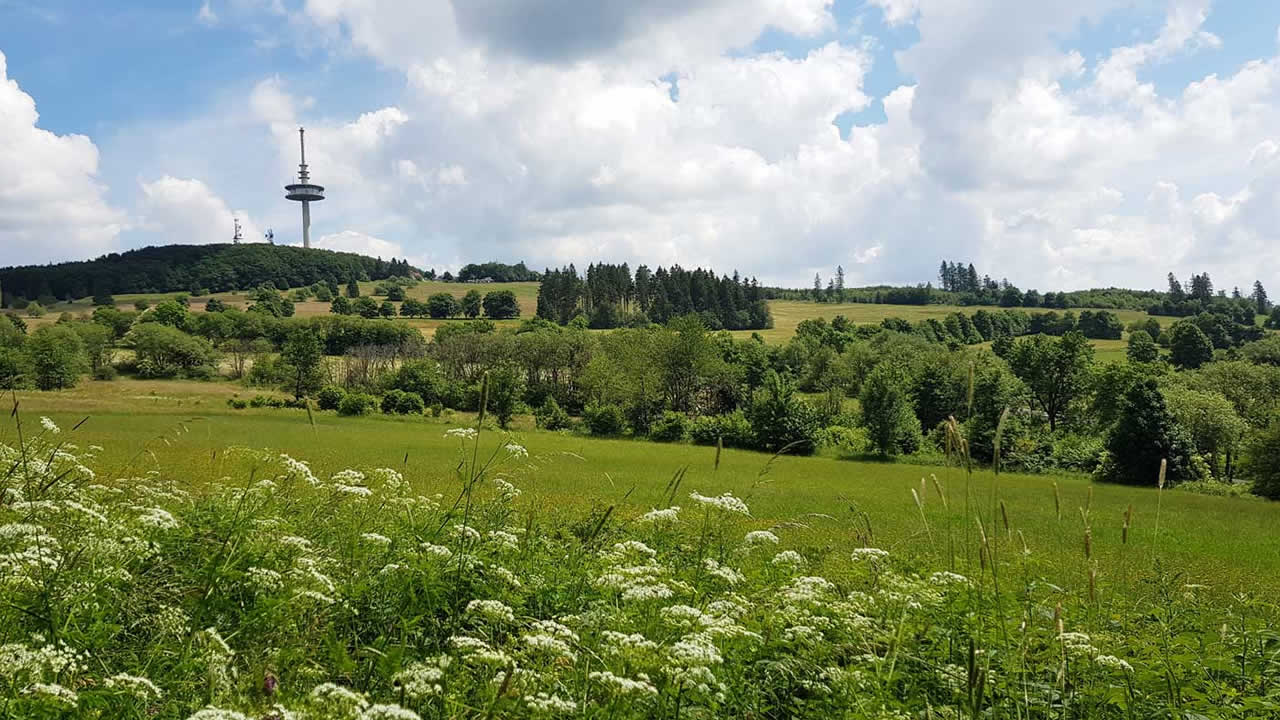 Blick auf den Hoherodskopf im Naturpark Hoher Vogelsberg