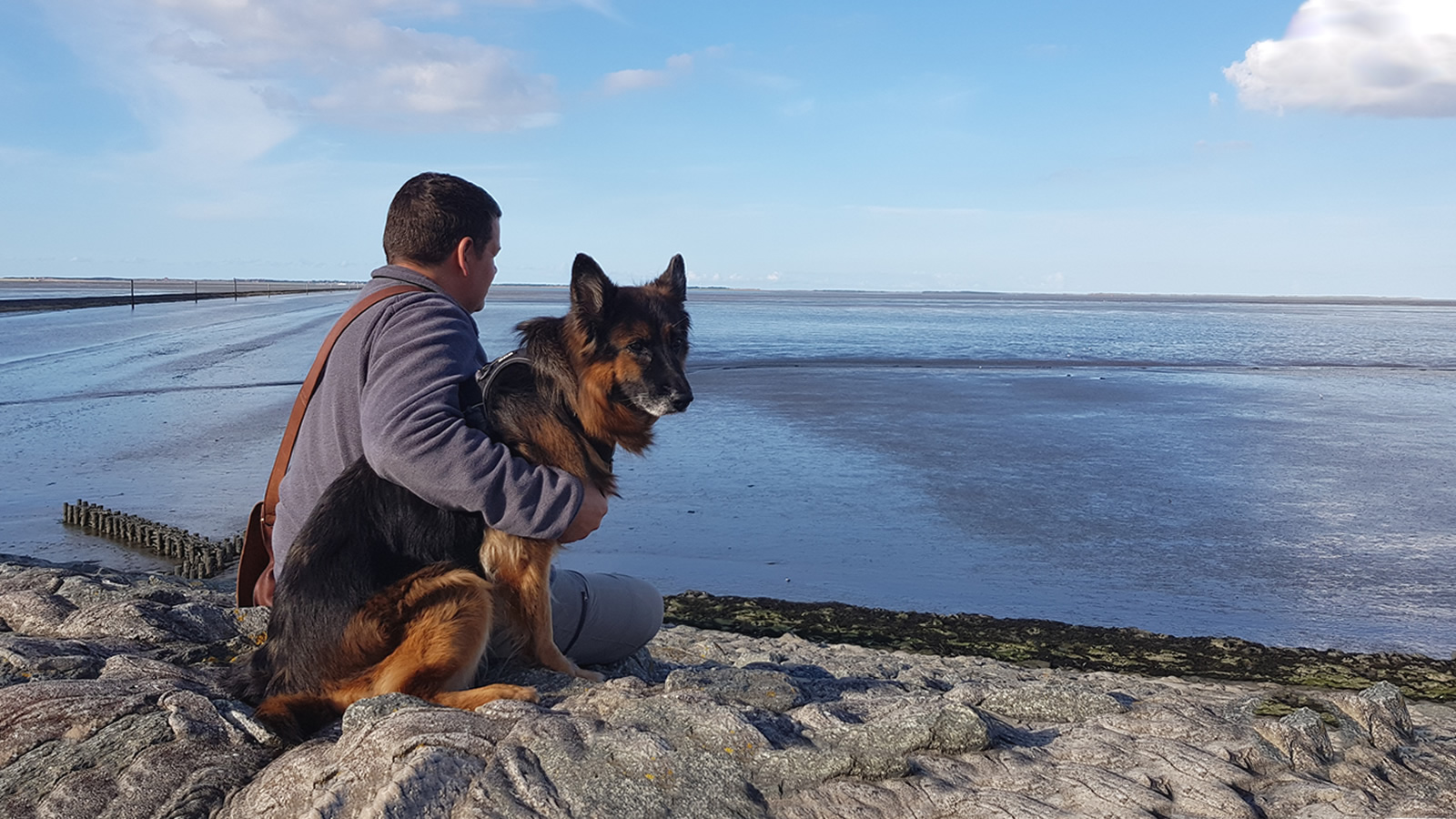 Man mit Schäferhund sitzt am Wattenmeer