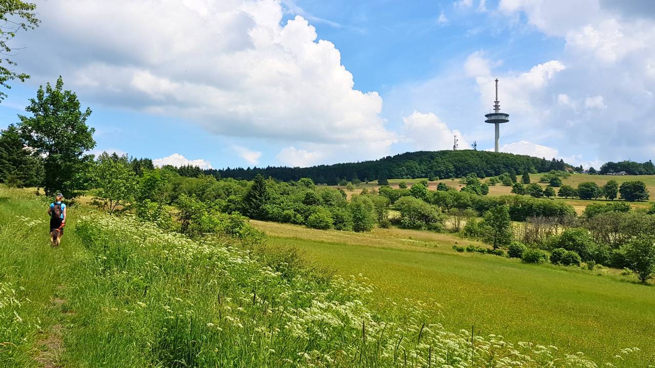 Wanderparadies Vogelsberg: 2500 km² Naturgenuss in Mitteleuropas größter Vulkanlandschaft