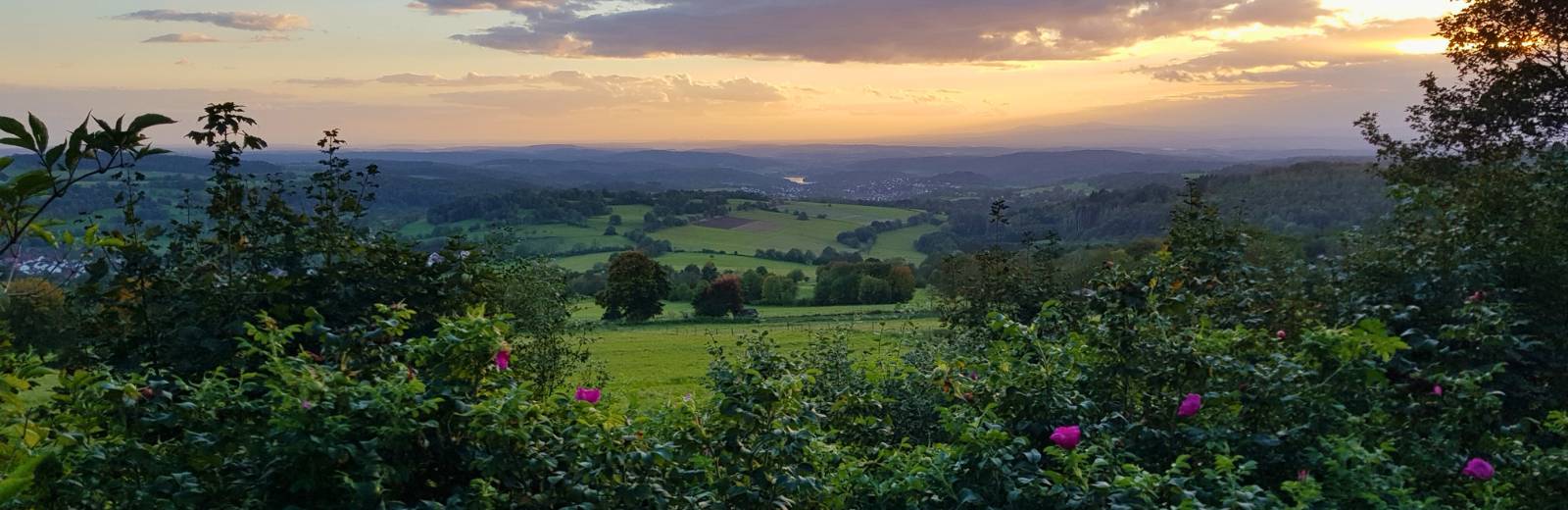 Vogelsberg Panorama