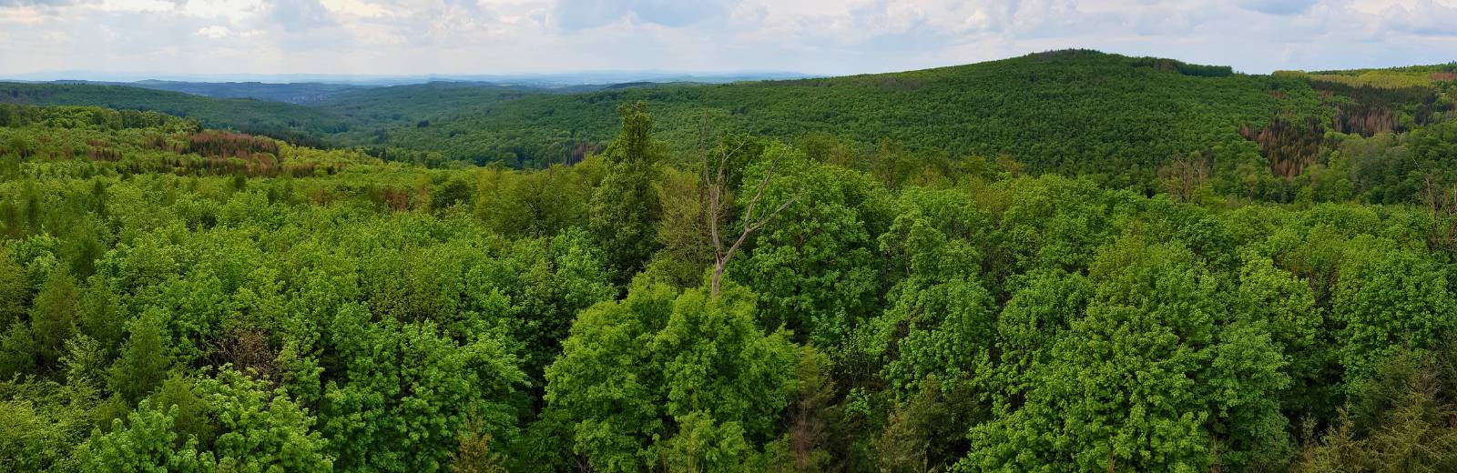 Erkunden eines Geotops im Vogelsberg