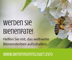 Werde Bienenpate